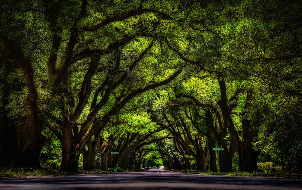 Aiken, United States