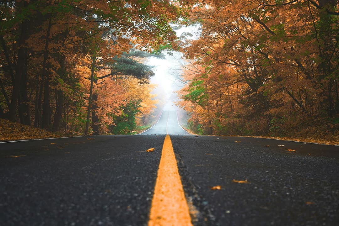 Dahlonega, United States