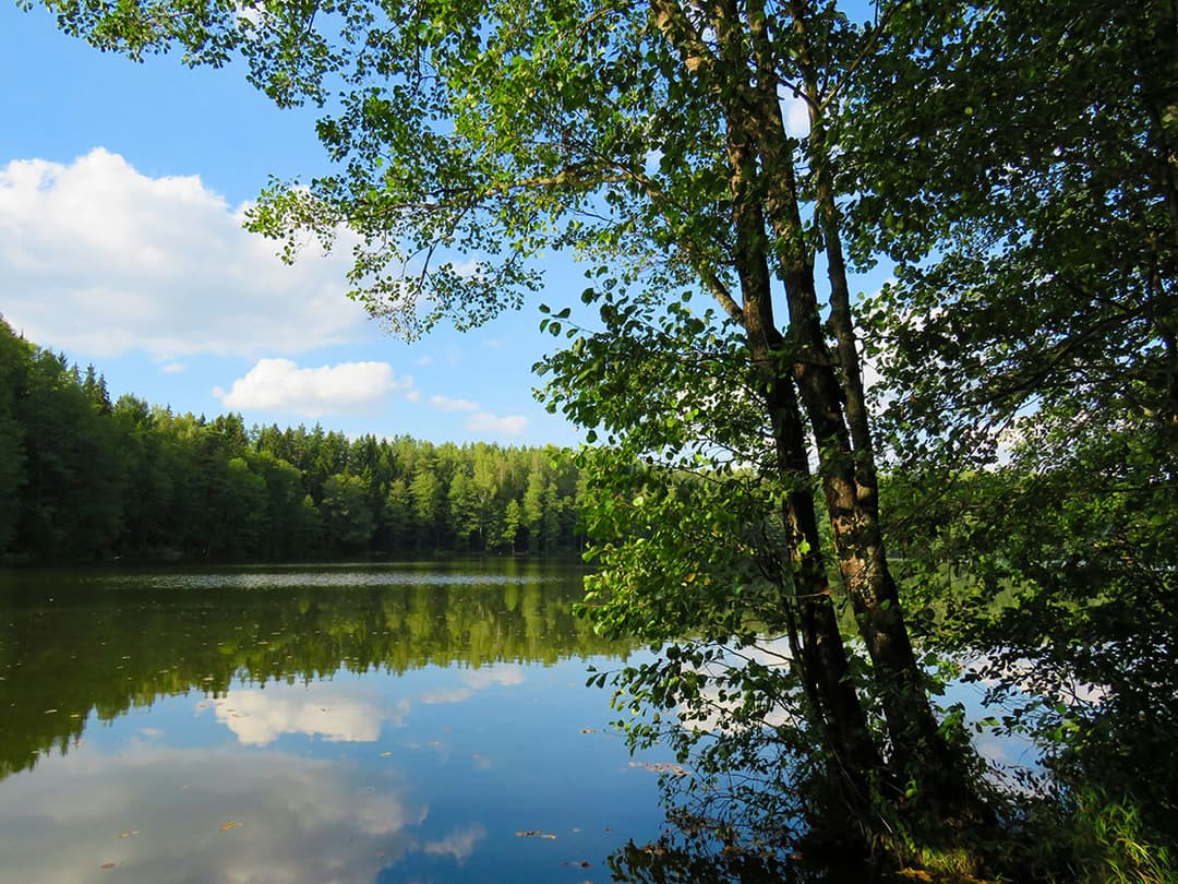 Greenwood, United States